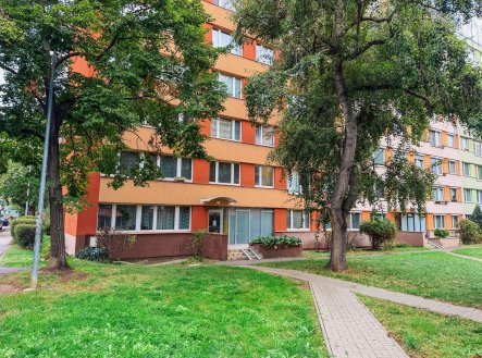 Pronájem bytu, pokoj, 12 m²