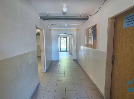 20250819-115003.jpg