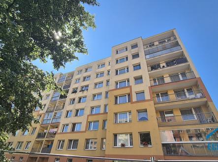 20250819-114543-1.jpg