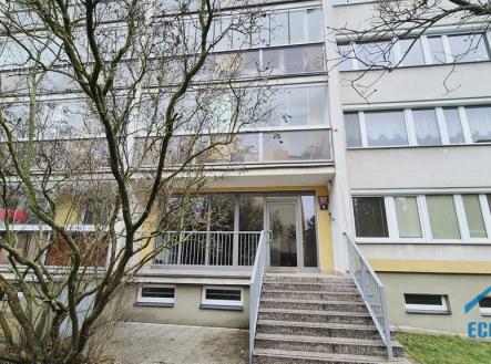 Pronájem kanceláře, 42 m²