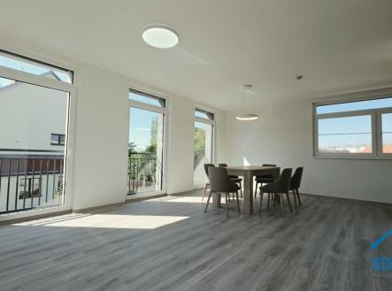 Pronájem bytu, 4+kk, 551 m²