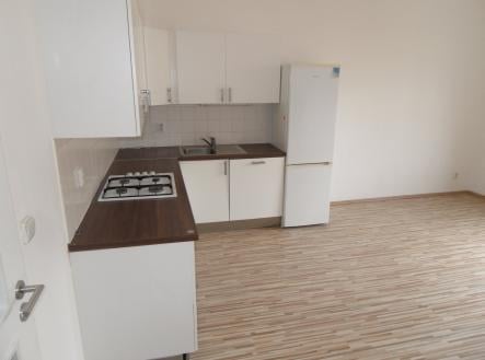 Pronájem bytu, 2+kk, 55 m²