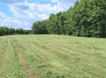 Prodej pozemku, zahrada, 7 161 m²