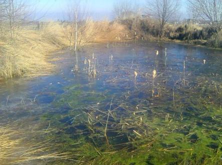 Prodej pozemku, zahrada, 7 161 m²