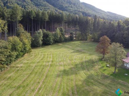 Prodej - pozemek, trvalý travní porost, 7 038 m²