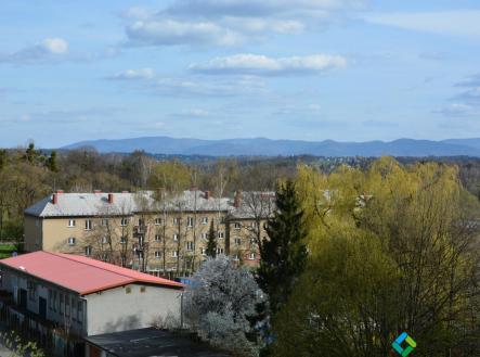 DSC_0542.JPG