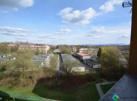DSC_0541.JPG