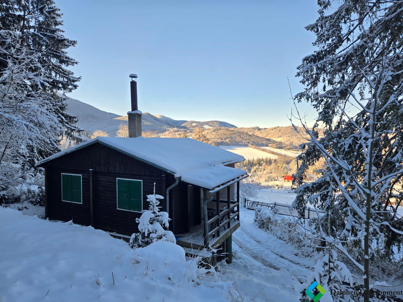 WhatsApp Image 2026-01-04 at 17.11.41 (5).jpeg