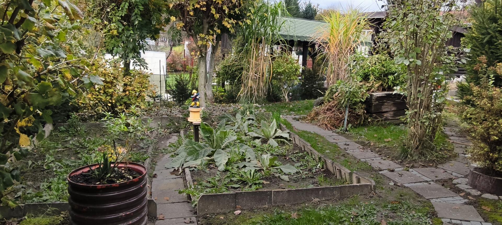 IMG_20251016_163655 kop..jpg