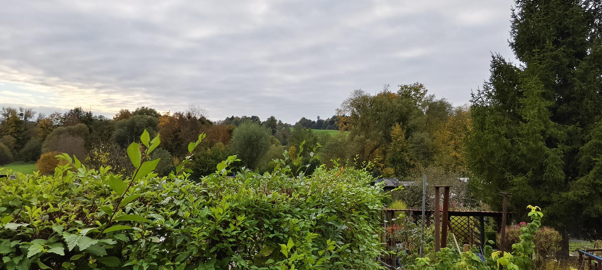 IMG_20251016_163534 kop..jpg