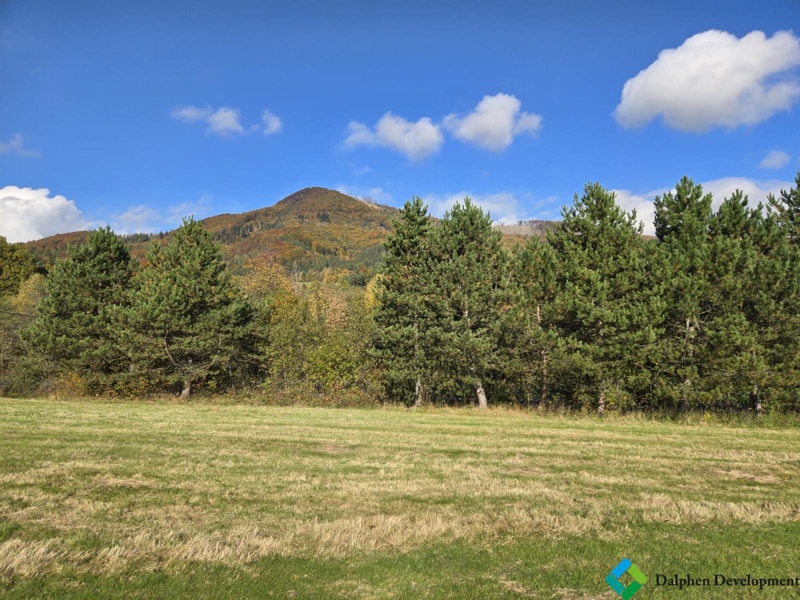 WhatsApp Image 2025-10-23 at 08.25.36 (2).jpeg