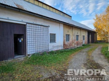 Pronájem obchodní prostor, 450 m²