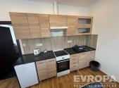 Pronájem bytu, 1+1, 47 m²