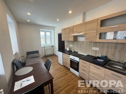 Pronájem bytu, 1+1, 47 m²