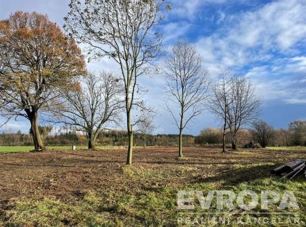 Prodej - pozemek pro bydlení, 2 922 m²