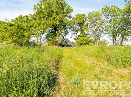 Prodej zemědělského objektu, 5 545 m²