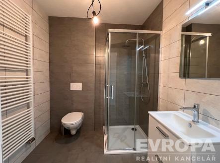 Prodej bytu, 1+kk, 33 m²