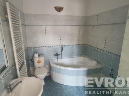 Pronájem bytu, 1+1, 41 m²