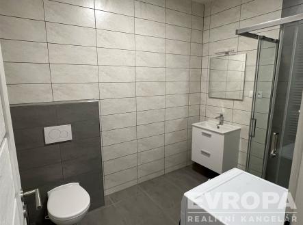 Pronájem bytu, 1+kk, 29 m²