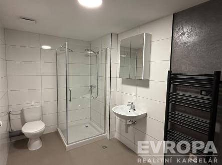 Pronájem bytu, 1+1, 40 m²