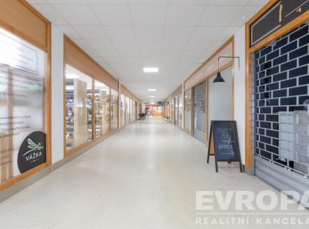 Prodej jiné, 1 081 m²