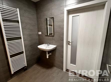 Pronájem bytu, 1+kk, 32 m²