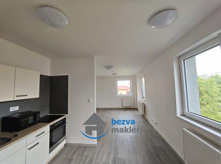 Pronájem bytu, 1+kk, 49 m²