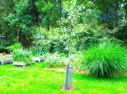 Prodej pozemku, zahrada, 615 m² obrázek