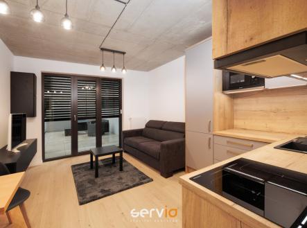 Pronájem bytu, 1+kk, 47 m²