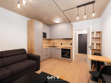 Pronájem bytu, 1+kk, 47 m²