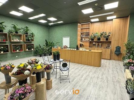 Pronájem obchodní prostor, 65 m²