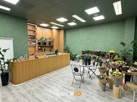 Pronájem obchodní prostor, 65 m²