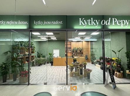 Pronájem obchodní prostor, 65 m²