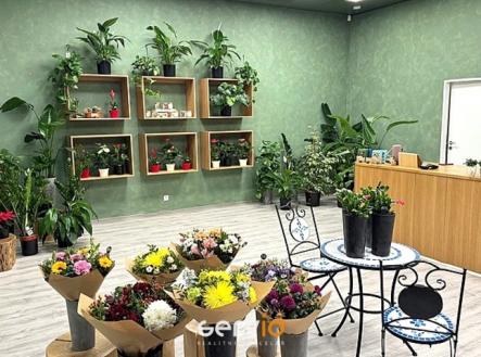 Pronájem obchodní prostor, 65 m²