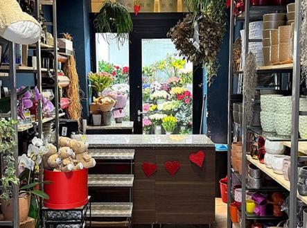 Pronájem obchodní prostor, 26 m²