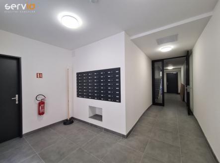 Pronájem obchodní prostory, 67 m²