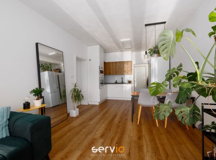Pronájem bytu, 2+kk, 59 m², Brno – náhled fotky 4