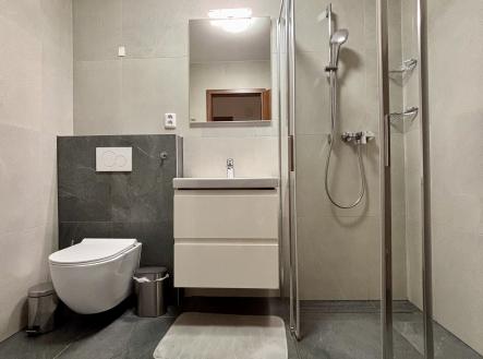 Pronájem bytu, 2+kk, 51 m²