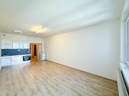 Prodej bytu, 1+kk, 33 m²