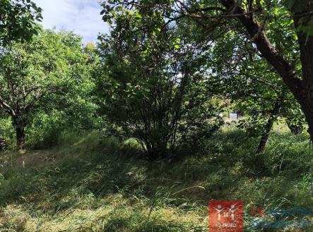 Prodej pozemku, zahrada, 1 345 m²
