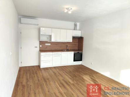 Pronájem bytu, 1+kk, 7 687 m²