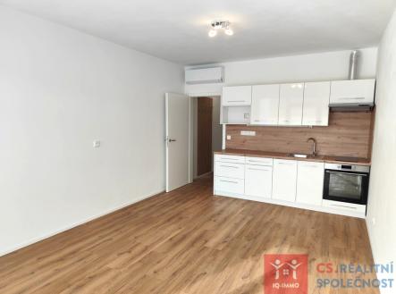 Pronájem bytu, 1+kk, 7 687 m²