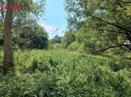 Prodej pozemku, ostatní, 4 517 m² obrázek