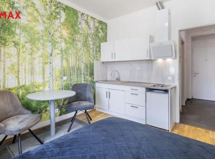 Pronájem bytu, 1+kk, 21 m²