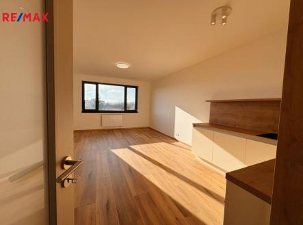 Pronájem bytu, 1+kk, 38 m²