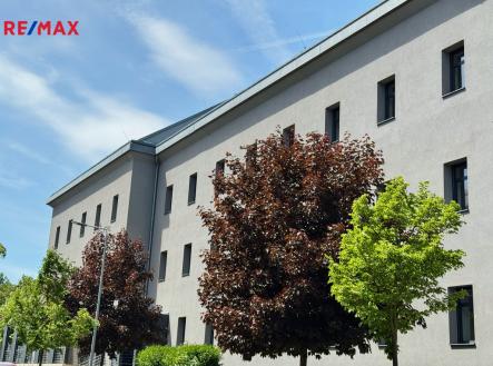 Pronájem kanceláře, 65 m²