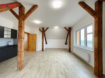 Pronájem bytu, 1+kk, 48 m²