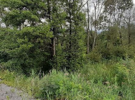 Prodej pozemku, trvalý travní porost, 2 427 m²