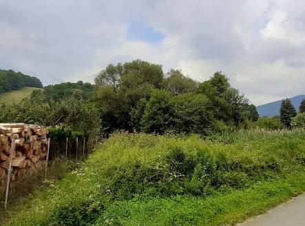 Prodej pozemku, trvalý travní porost, 2 427 m²