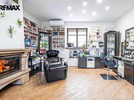 Prodej domu/vily, 300 m²